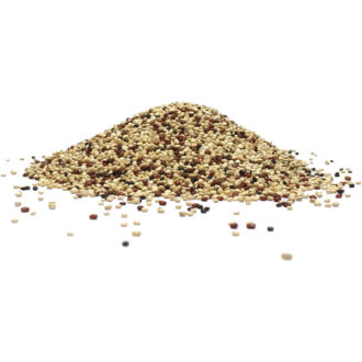 sommelier wines ans spirits nuts