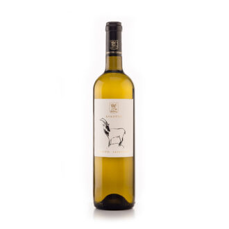 sommelier wines and spirits