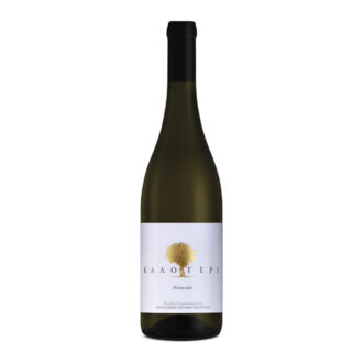 sommelier white wines