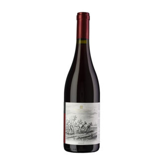 sommelier wines and spirits
