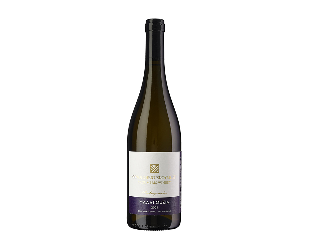 sommelier wines and spirits