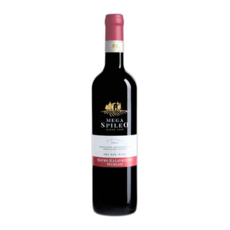 sommelier wines and spirits